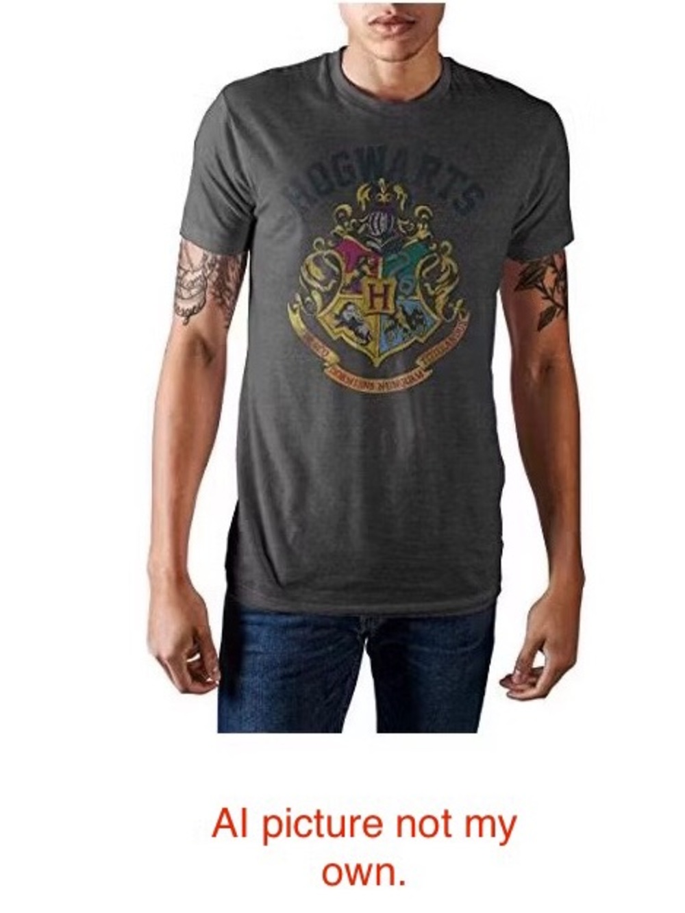Harry Potter Hogwarts Crest Charcoal Heather T-shirt